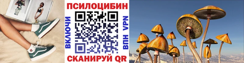 Купить  Сычёвка  Галлюциногенные грибы мухоморы 